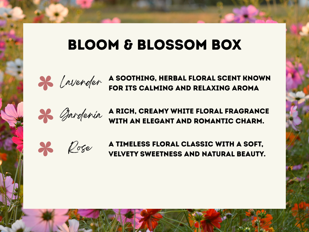 Scents of Glow Wax Melt Trio — 7 Collections