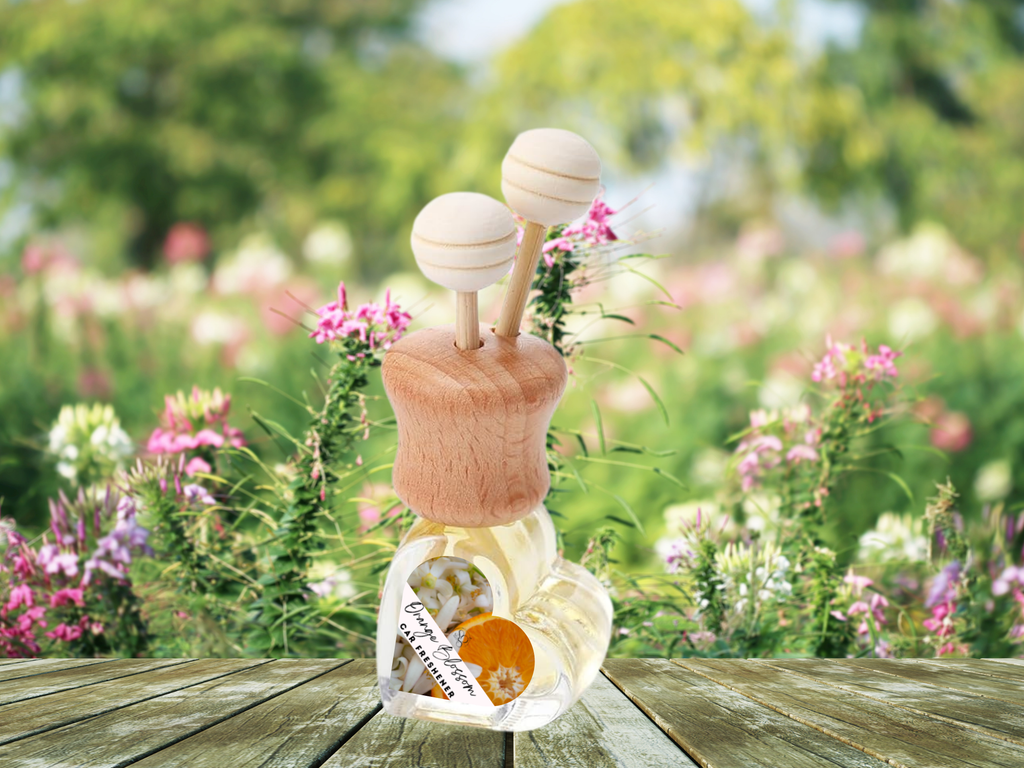 Scents of Glow Nature & Earth Car Vent Diffuser