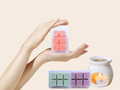 Scents of Glow Wax Melt Trio — 7 Collections