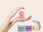 Scents of Glow Wax Melt Trio — 7 Collections