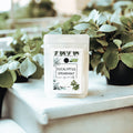 LNB Eucalyptus & Spearmint Soy Wax Melts — Set of 3